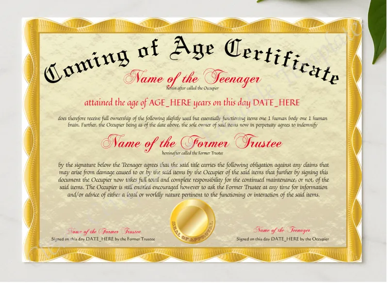 Coming Of Age Certificate presented in a sleek wooden frame, elegantly arranged on a stylish table.