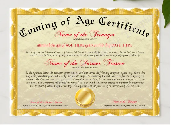 Coming Of Age Certificate presented in a sleek wooden frame, elegantly arranged on a stylish table.