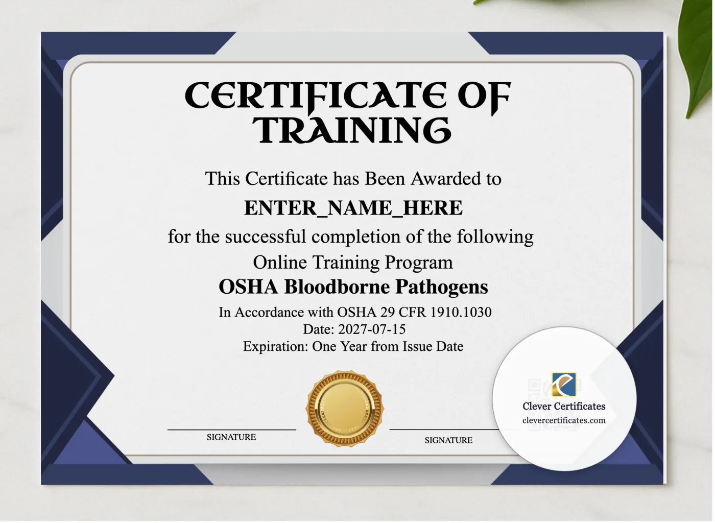 Bloodborne Pathogens Training Certificate Landscape presented in a sleek wooden frame, elegantly arranged on a stylish table.
