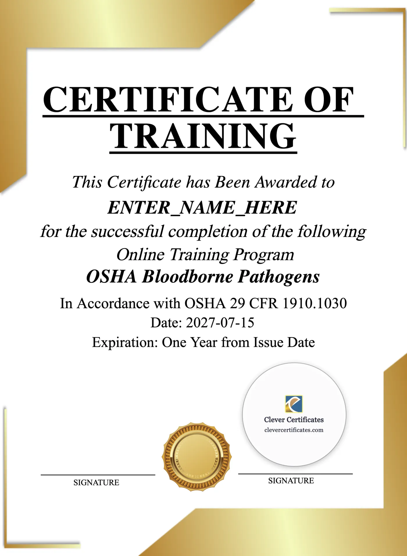 Bloodborne Pathogens Training Certificate Portrait — Certificate Template Preview