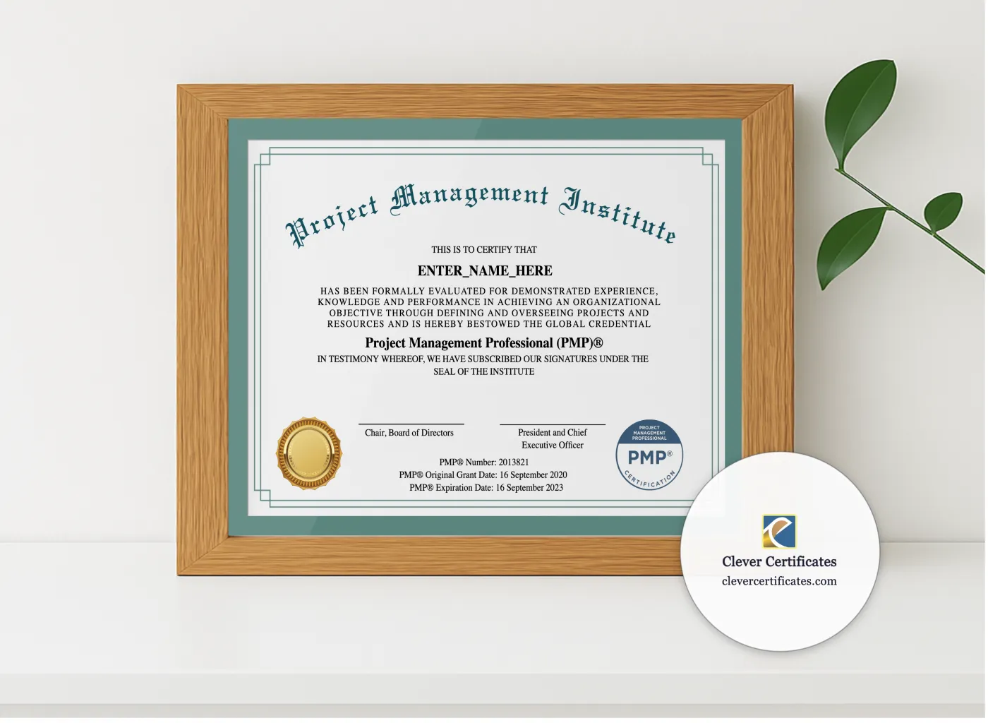 Realistic mockup featuring Project Management Professional Certificate displayed within a modern frame, set against a minimalistic background.