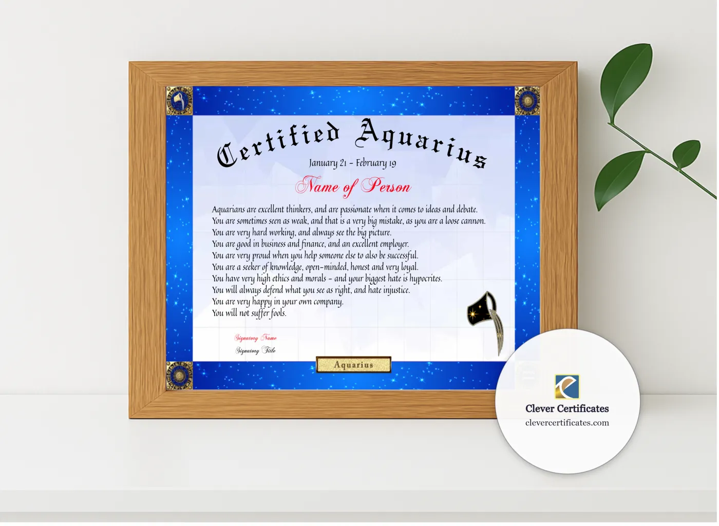 Realistic mockup featuring Certified Aquarius Award displayed within a modern frame, set against a minimalistic background.