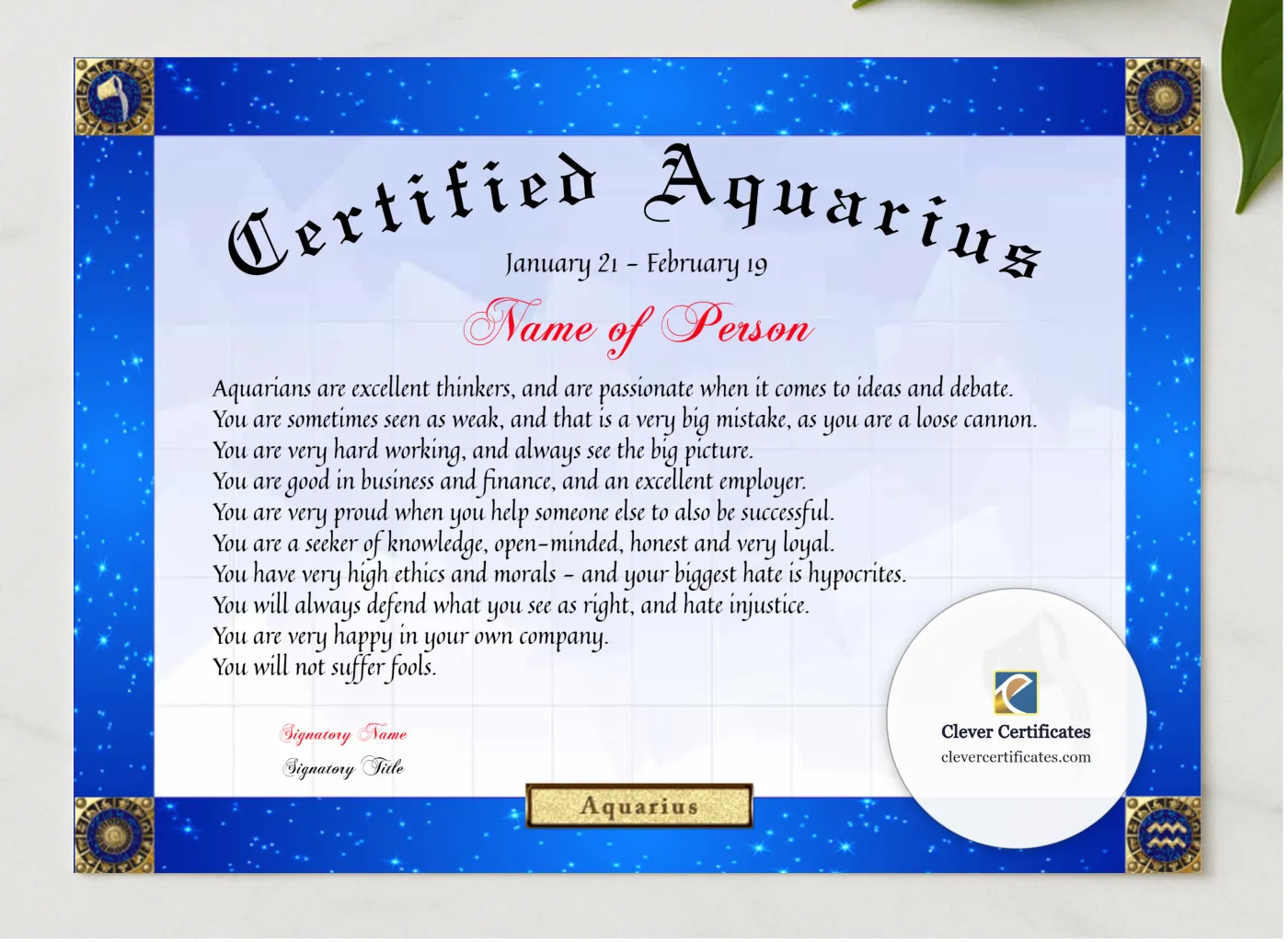Certified Aquarius Award presented in a sleek wooden frame, elegantly arranged on a stylish table.