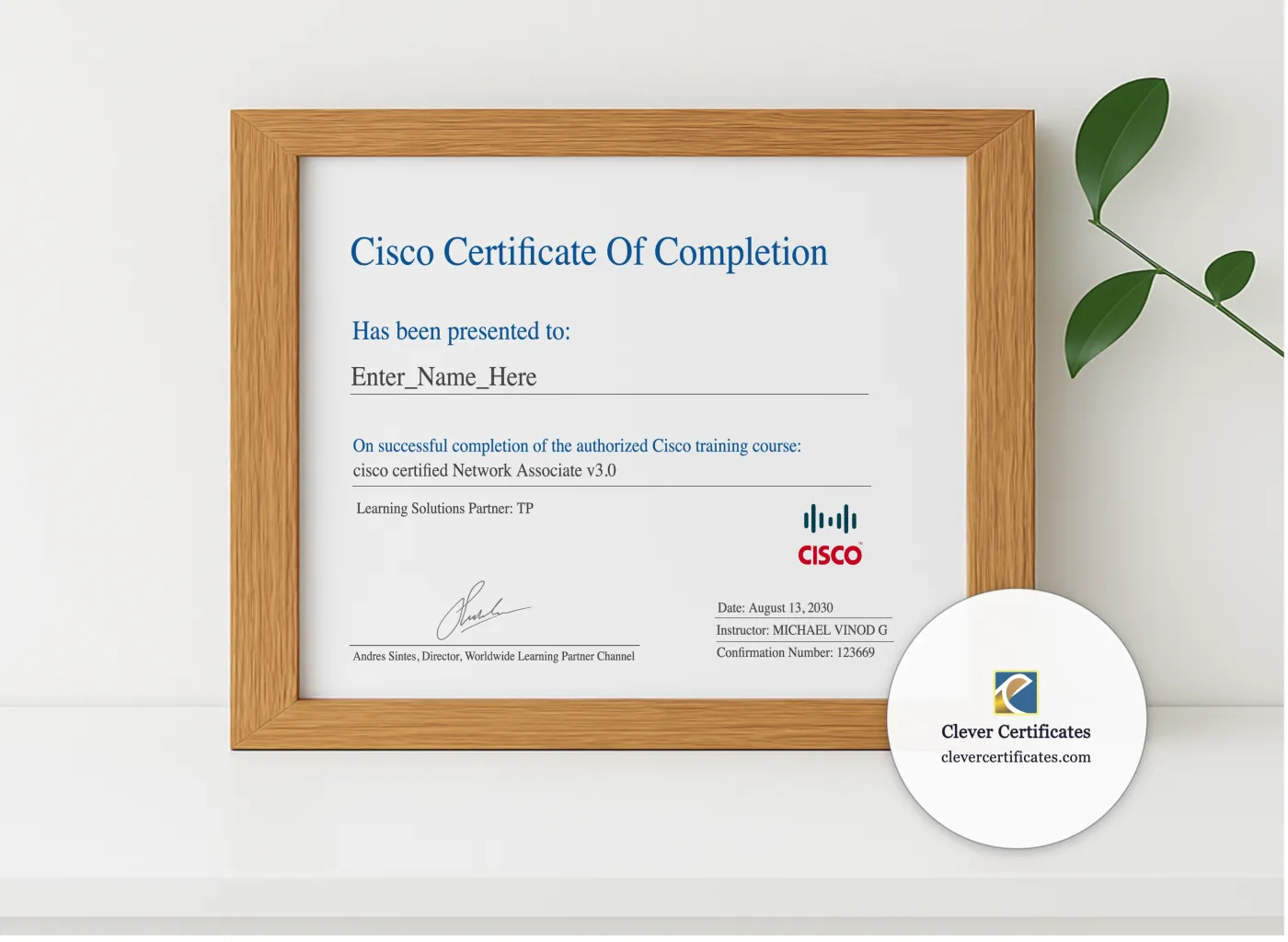 Realistic mockup featuring Network Associate Practical Competency Award displayed within a modern frame, set against a minimalistic background.