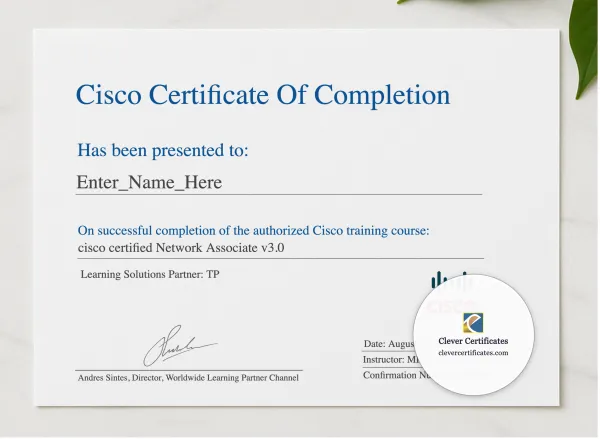 Network Associate Practical Competency Award presented in a sleek wooden frame, elegantly arranged on a stylish table.
