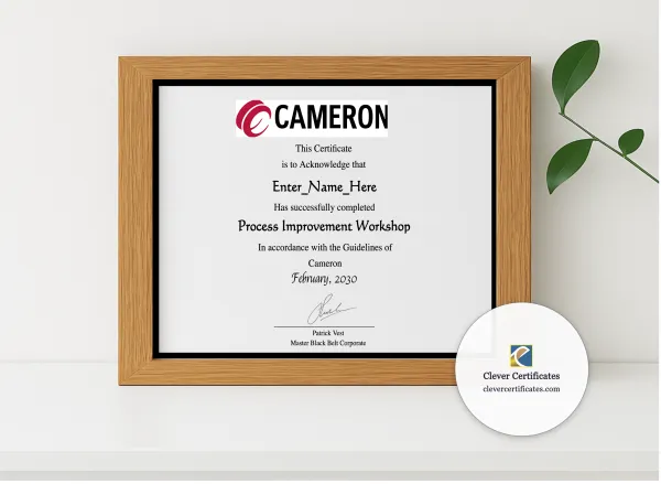 Realistic mockup featuring  Six Sigma Process Improvement Practitioner Award displayed within a modern frame, set against a minimalistic background.