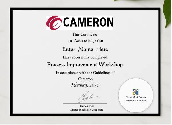  Six Sigma Process Improvement Practitioner Award presented in a sleek wooden frame, elegantly arranged on a stylish table.