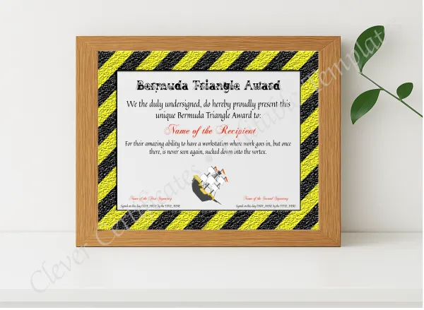 Realistic mockup featuring Bermuda Triangle Award displayed within a modern frame, set against a minimalistic background.
