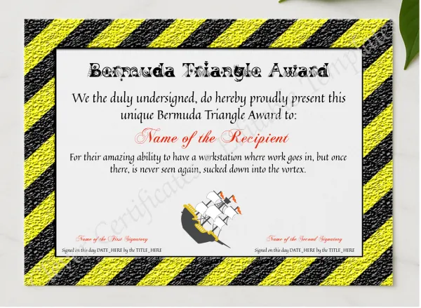 Bermuda Triangle Award presented in a sleek wooden frame, elegantly arranged on a stylish table.