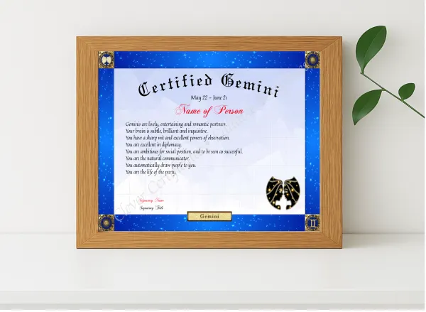 Realistic mockup featuring Certified Gemini Award displayed within a modern frame, set against a minimalistic background.