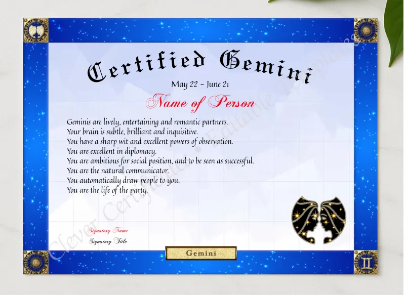 Certified Gemini Award presented in a sleek wooden frame, elegantly arranged on a stylish table.