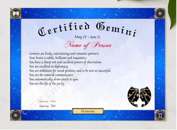 Certified Gemini Award presented in a sleek wooden frame, elegantly arranged on a stylish table.