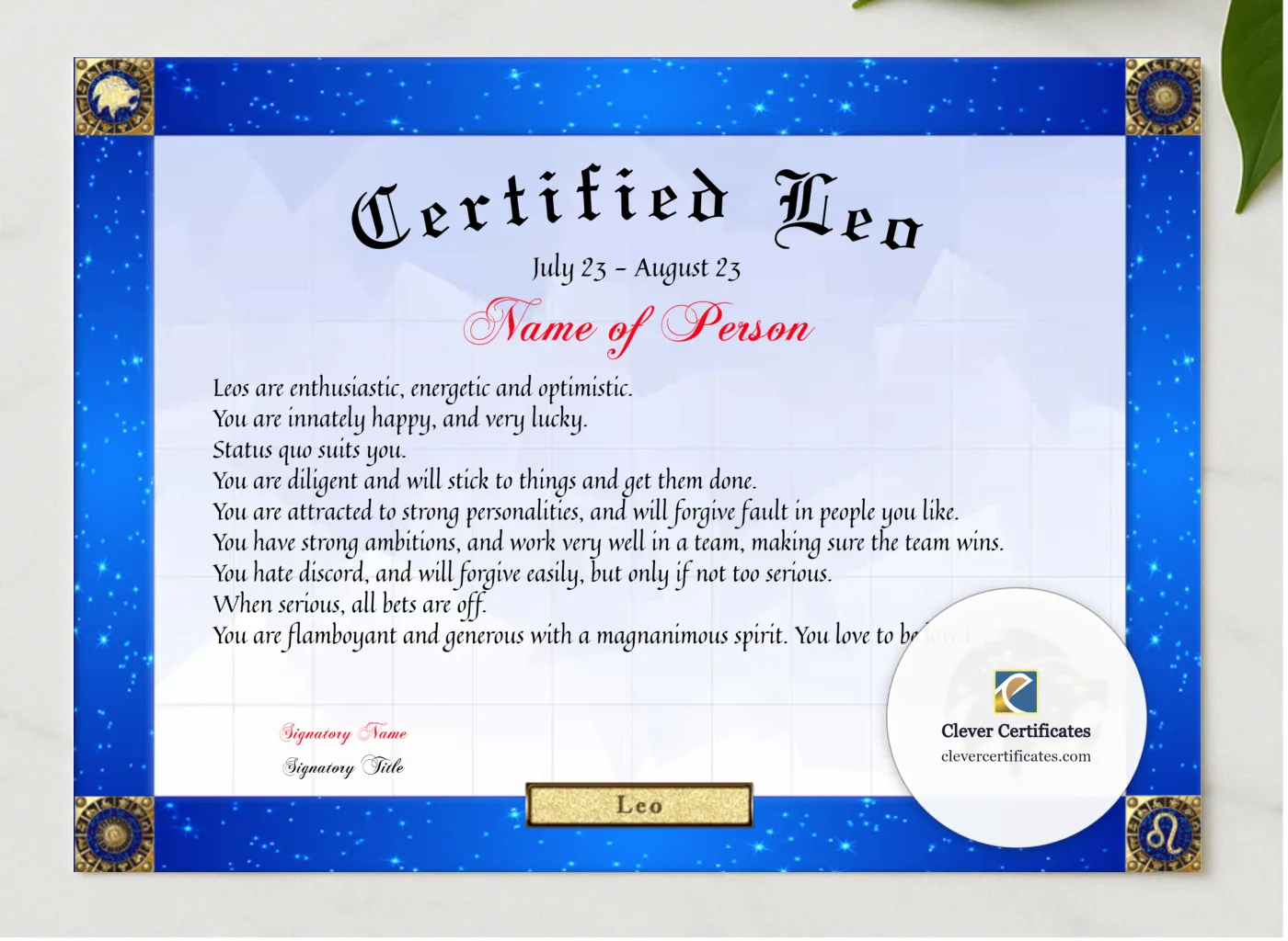 Certified Leo Award presented in a sleek wooden frame, elegantly arranged on a stylish table.