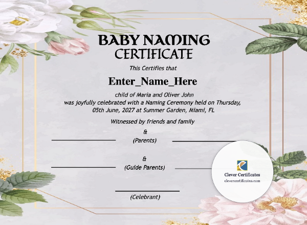 Free Minnesota Baby Naming Certificate