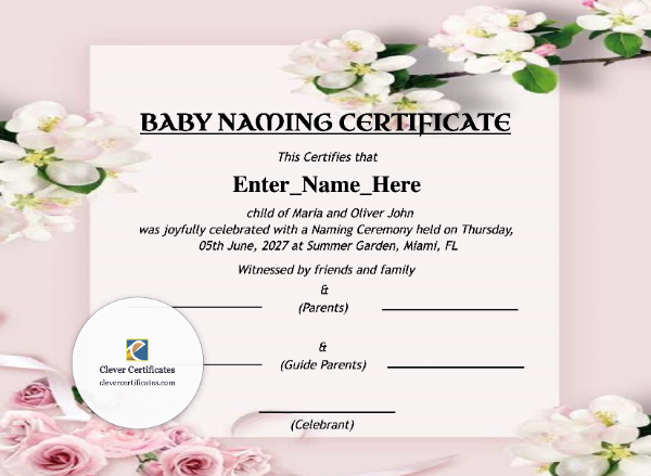 Free South Carolina Baby Naming Certificate