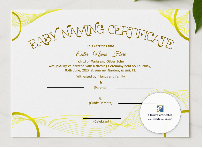 West Virginia Baby Naming Certificate  presented in a sleek wooden frame, elegantly arranged on a stylish table.