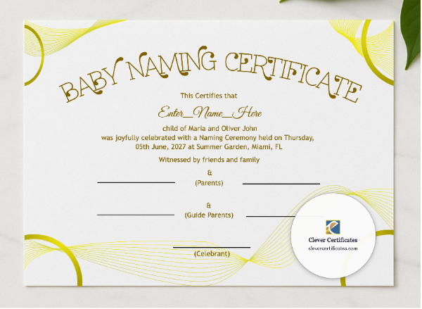 West Virginia Baby Naming Certificate  presented in a sleek wooden frame, elegantly arranged on a stylish table.