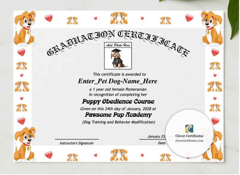 Puppy Graduation Certificate presented in a sleek wooden frame, elegantly arranged on a stylish table.