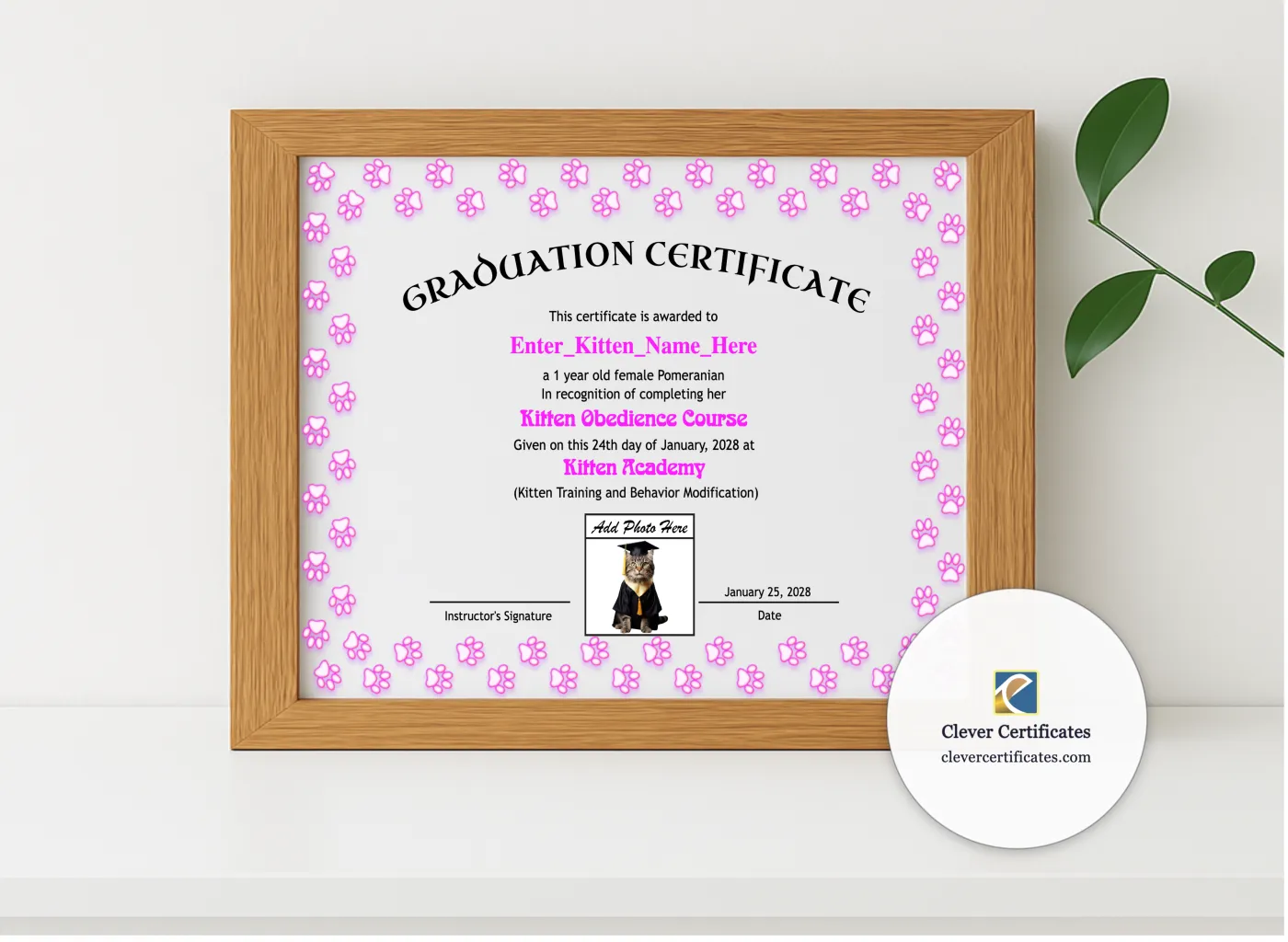 Realistic mockup featuring Kitten Graduation Certificate displayed within a modern frame, set against a minimalistic background.
