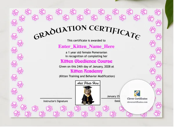 Kitten Graduation Certificate presented in a sleek wooden frame, elegantly arranged on a stylish table.