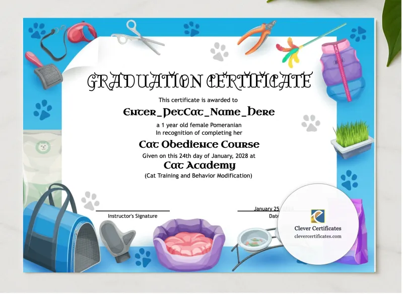Cat School Graduation Certificate presented in a sleek wooden frame, elegantly arranged on a stylish table.