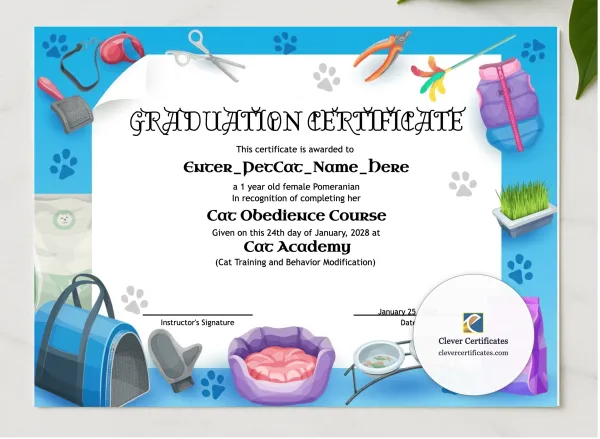 Cat School Graduation Certificate presented in a sleek wooden frame, elegantly arranged on a stylish table.