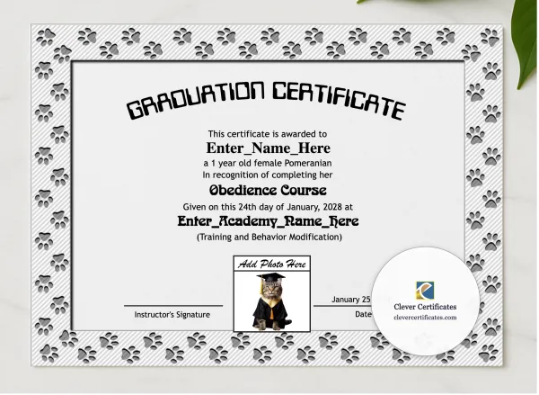Paw Some Graduate Certificate presented in a sleek wooden frame, elegantly arranged on a stylish table.