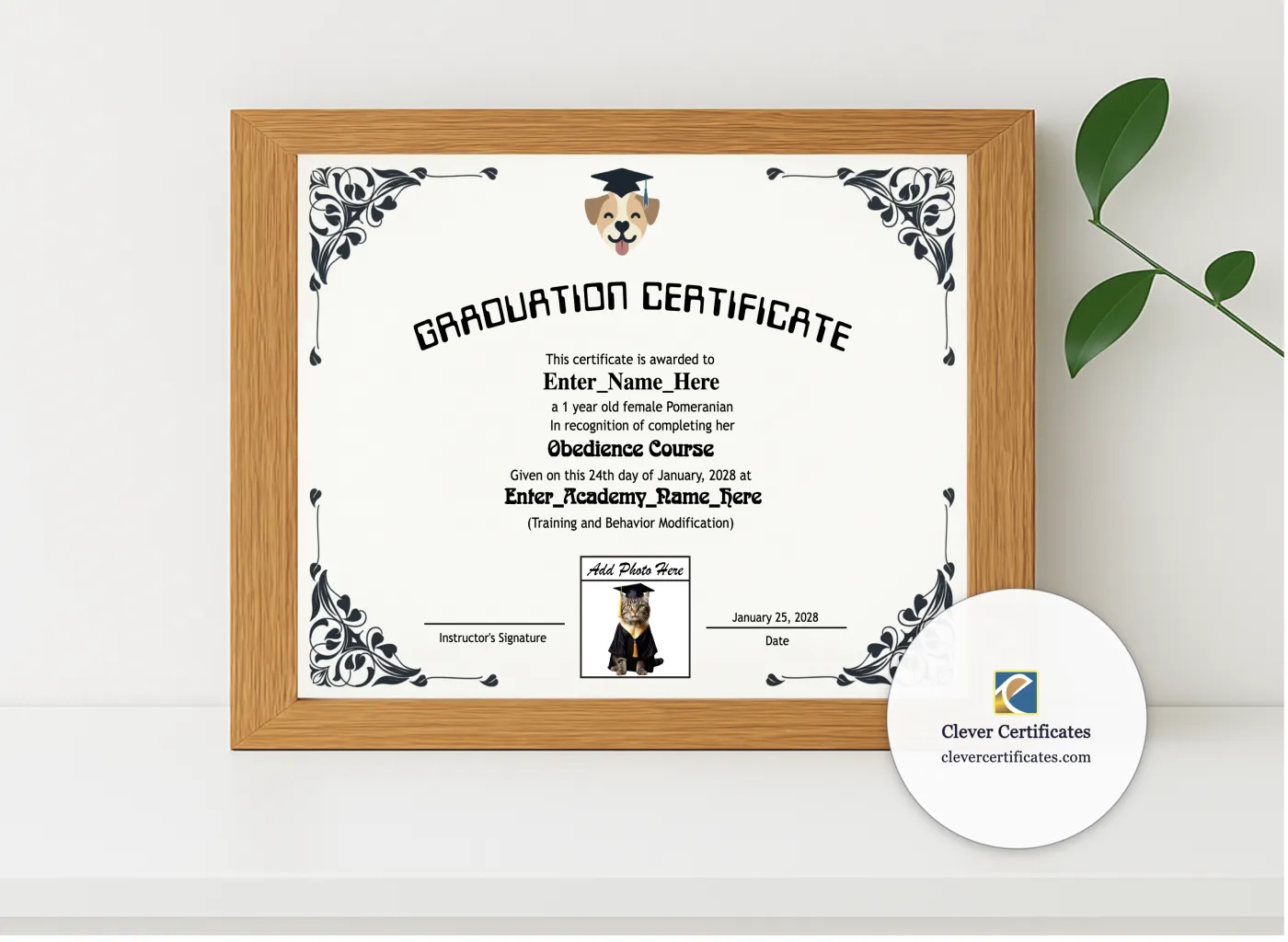 Realistic mockup featuring Top Dog Graduate Certificate displayed within a modern frame, set against a minimalistic background.