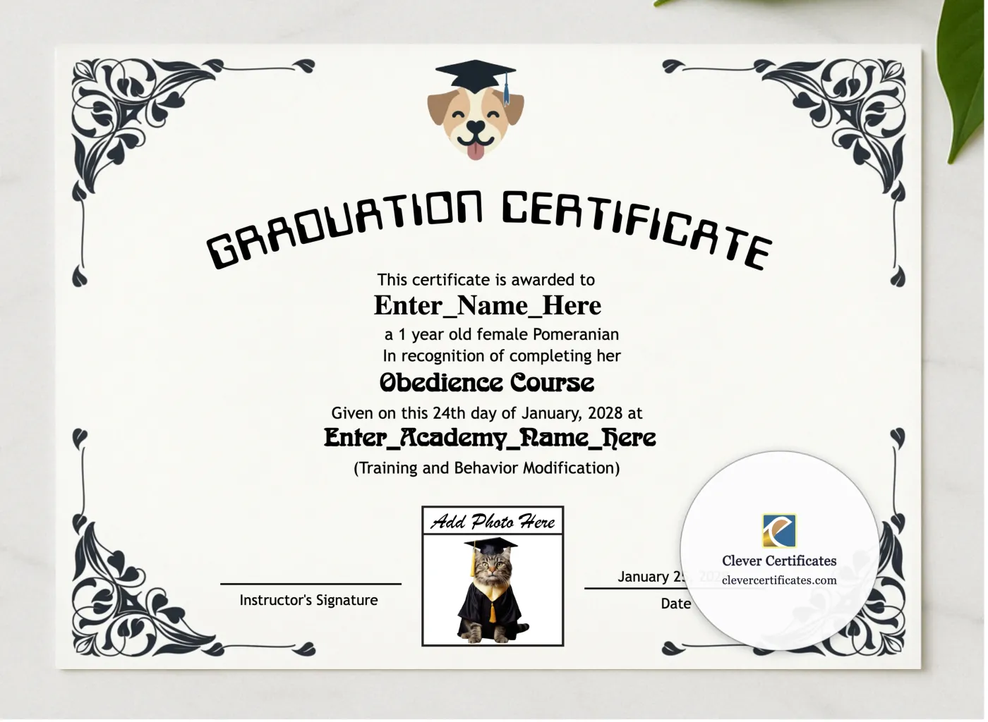 Top Dog Graduate Certificate presented in a sleek wooden frame, elegantly arranged on a stylish table.