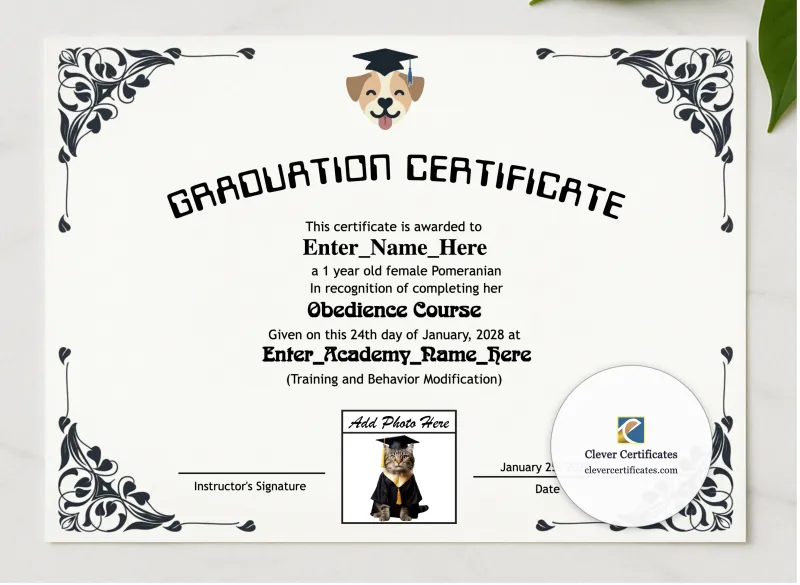 Top Dog Graduate Certificate presented in a sleek wooden frame, elegantly arranged on a stylish table.