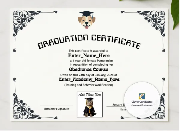 Top Dog Graduate Certificate presented in a sleek wooden frame, elegantly arranged on a stylish table.