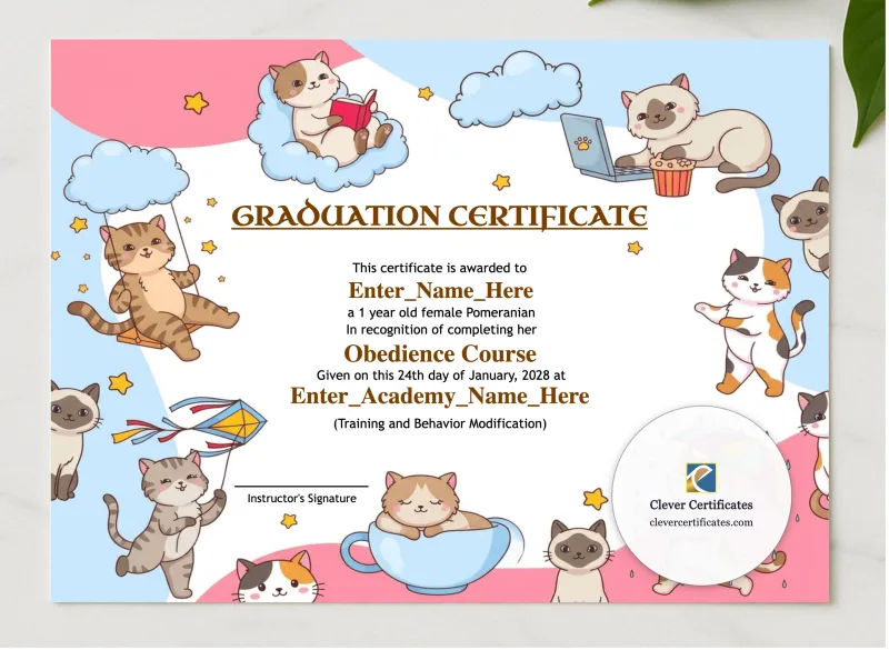 Best In Class Cat Certificate presented in a sleek wooden frame, elegantly arranged on a stylish table.