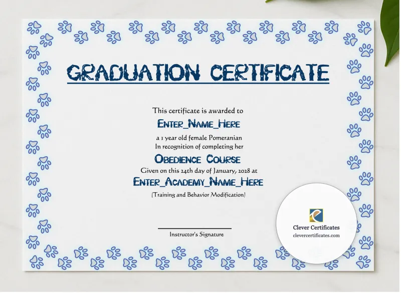 Honorary Dog Graduate Certificate presented in a sleek wooden frame, elegantly arranged on a stylish table.