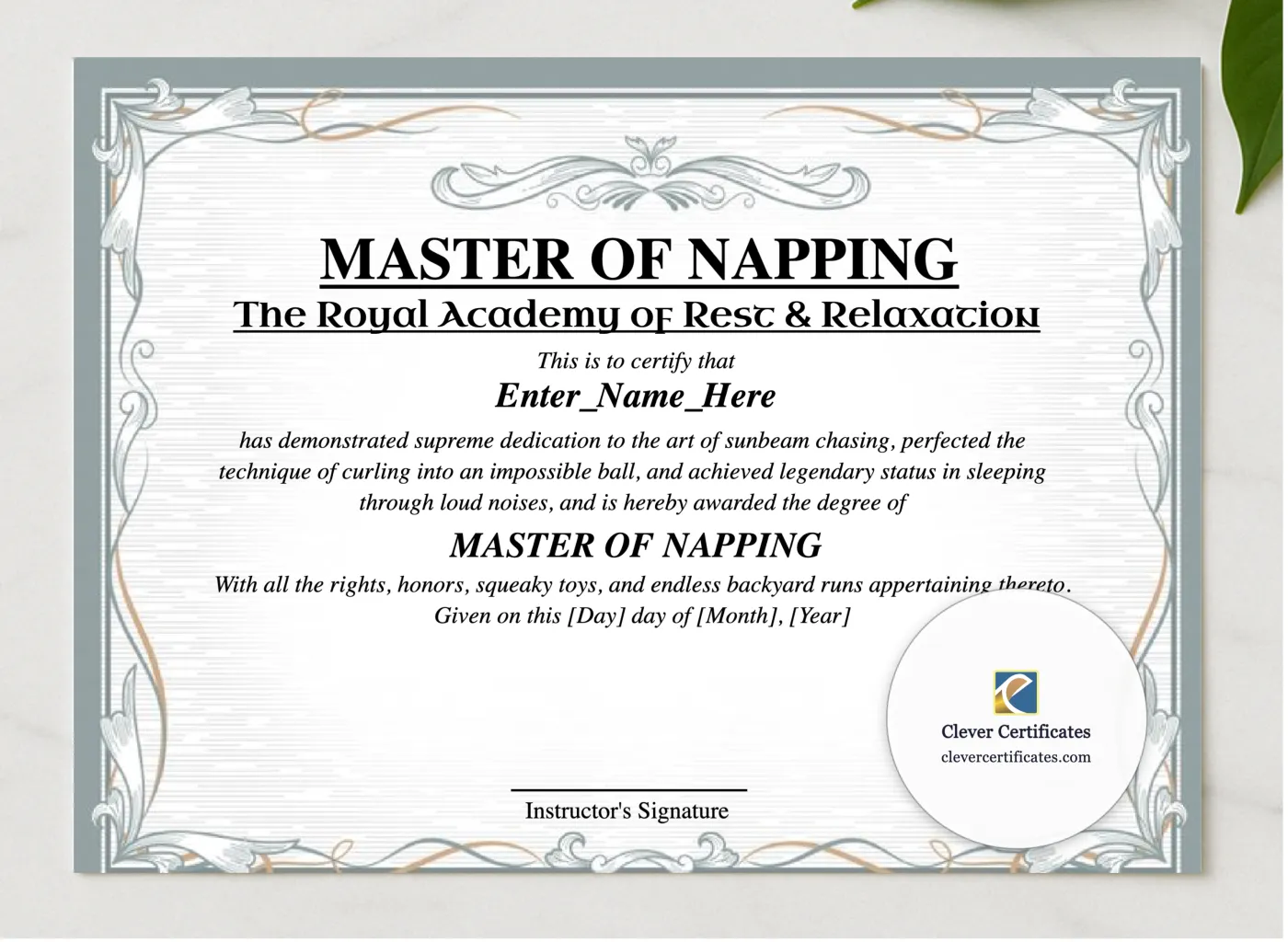 Master Of Napping Certificate presented in a sleek wooden frame, elegantly arranged on a stylish table.