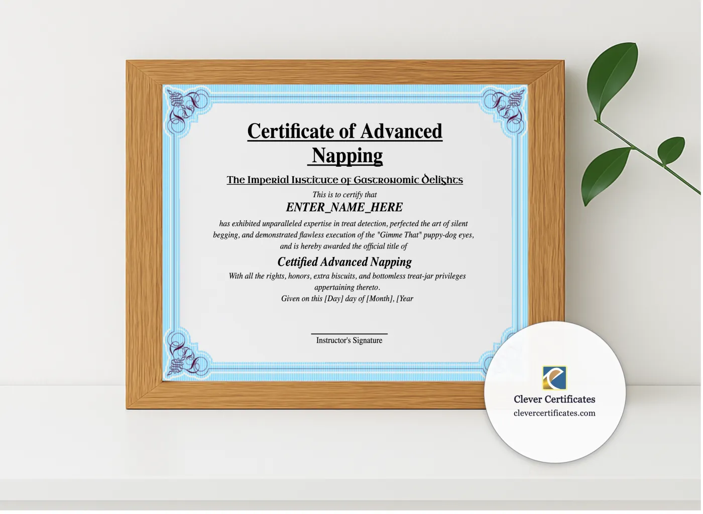 Realistic mockup featuring Certificate Of Advanced Napping displayed within a modern frame, set against a minimalistic background.