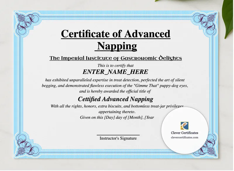 Certificate Of Advanced Napping presented in a sleek wooden frame, elegantly arranged on a stylish table.