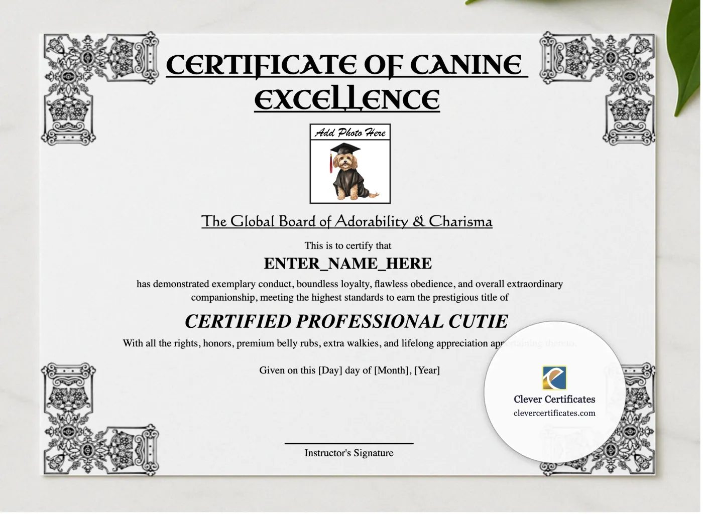 Certificate Of Canine Excellence presented in a sleek wooden frame, elegantly arranged on a stylish table.