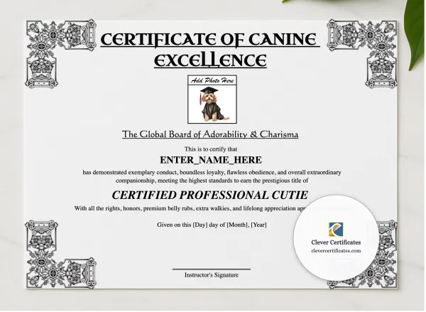 Certificate Of Canine Excellence presented in a sleek wooden frame, elegantly arranged on a stylish table.