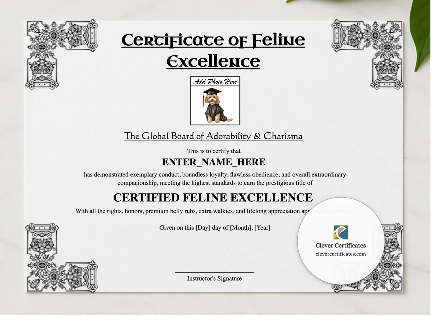 Certificate Of Feline Excellence presented in a sleek wooden frame, elegantly arranged on a stylish table.