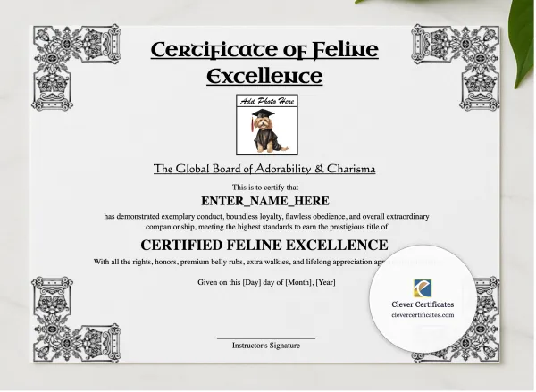 Certificate Of Feline Excellence presented in a sleek wooden frame, elegantly arranged on a stylish table.