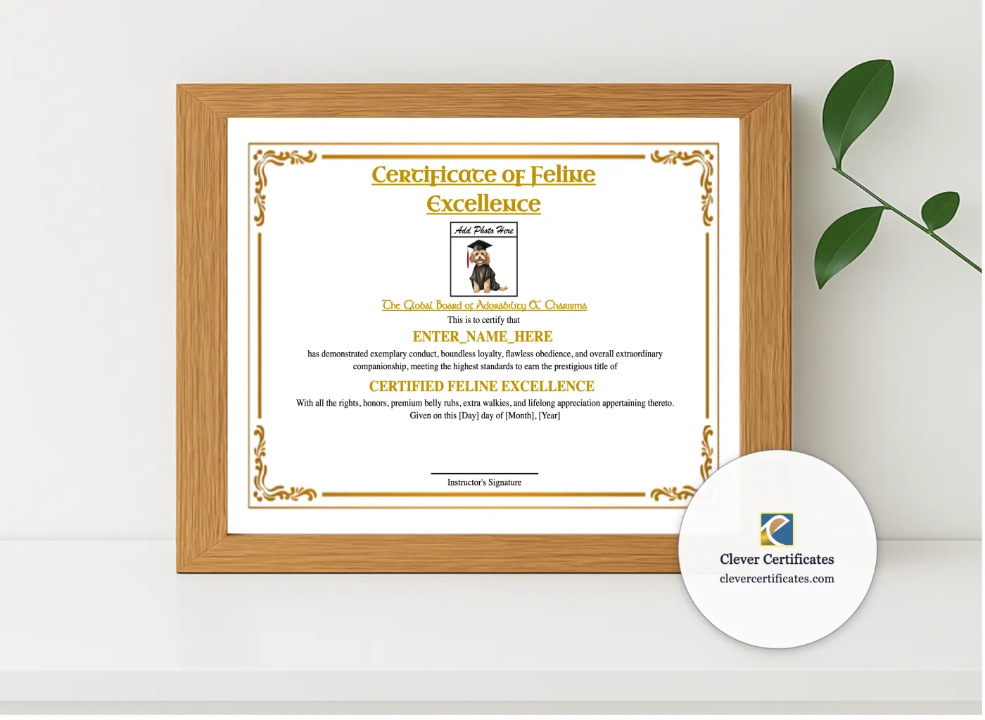 Realistic mockup featuring Feline Academy Graduation Certificate displayed within a modern frame, set against a minimalistic background.