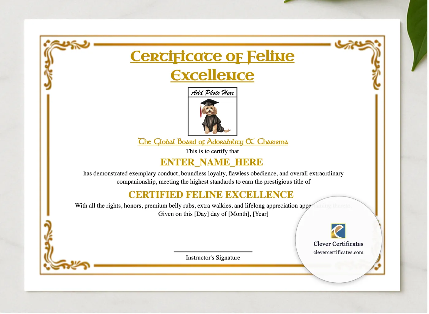 Feline Academy Graduation Certificate presented in a sleek wooden frame, elegantly arranged on a stylish table.