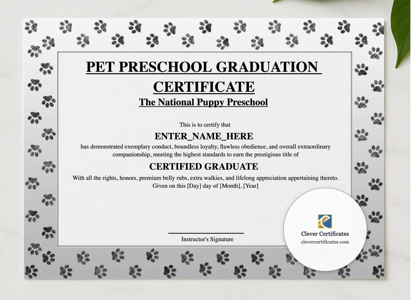 Pet Preschool Graduation Certificate presented in a sleek wooden frame, elegantly arranged on a stylish table.