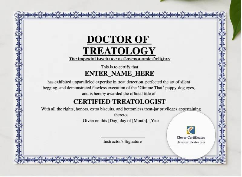 Doctor Of Treatology presented in a sleek wooden frame, elegantly arranged on a stylish table.