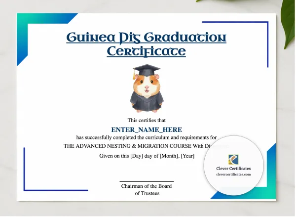 Guinea Pig Graduation Certificate presented in a sleek wooden frame, elegantly arranged on a stylish table.