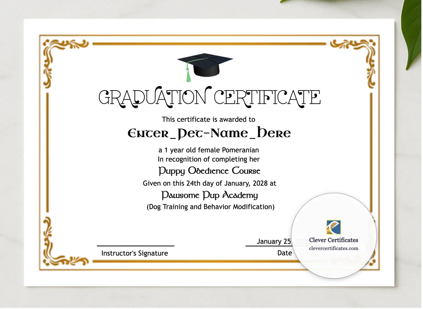 Pet Graduation Certificate presented in a sleek wooden frame, elegantly arranged on a stylish table.