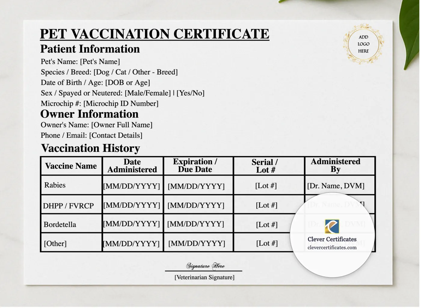Pet Vaccination Record Certificate presented in a sleek wooden frame, elegantly arranged on a stylish table.