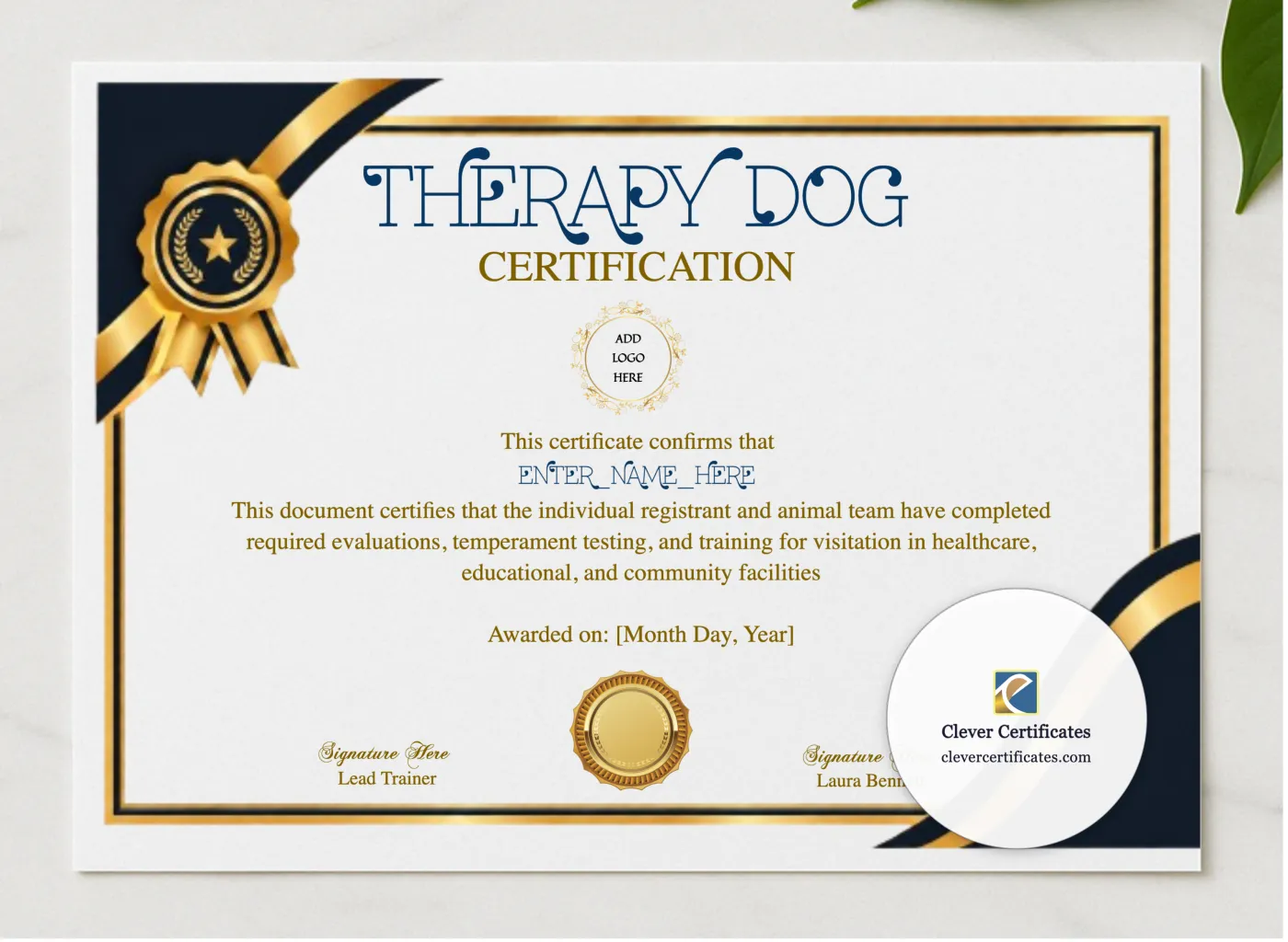 Therapy Dog Certification Certificate presented in a sleek wooden frame, elegantly arranged on a stylish table.