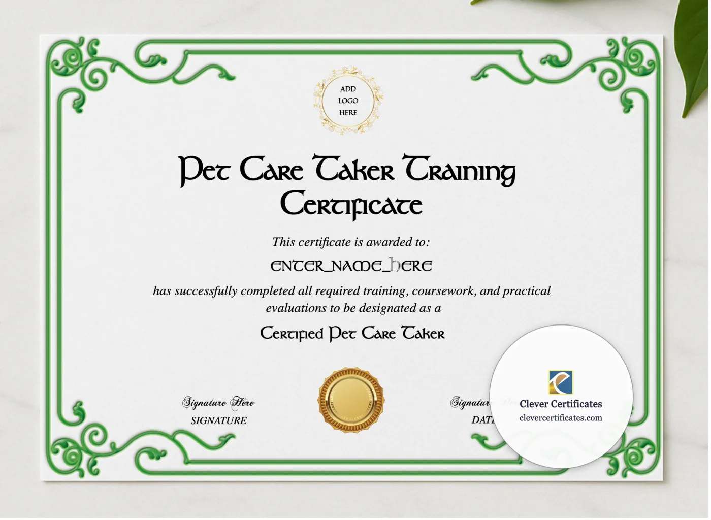Pet Care Taker Training Certificate presented in a sleek wooden frame, elegantly arranged on a stylish table.