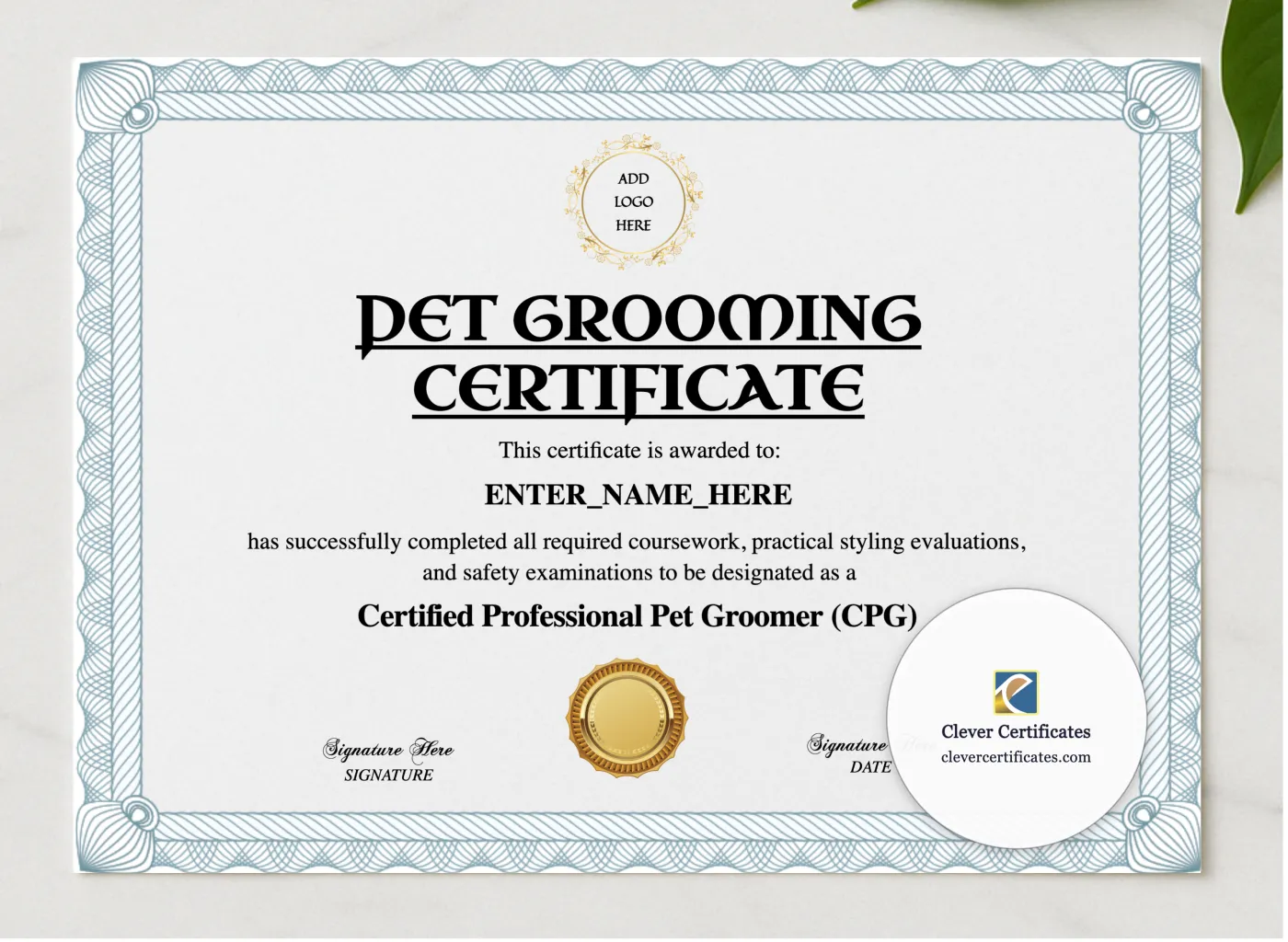 Certified Pet Groomer Certificate presented in a sleek wooden frame, elegantly arranged on a stylish table.